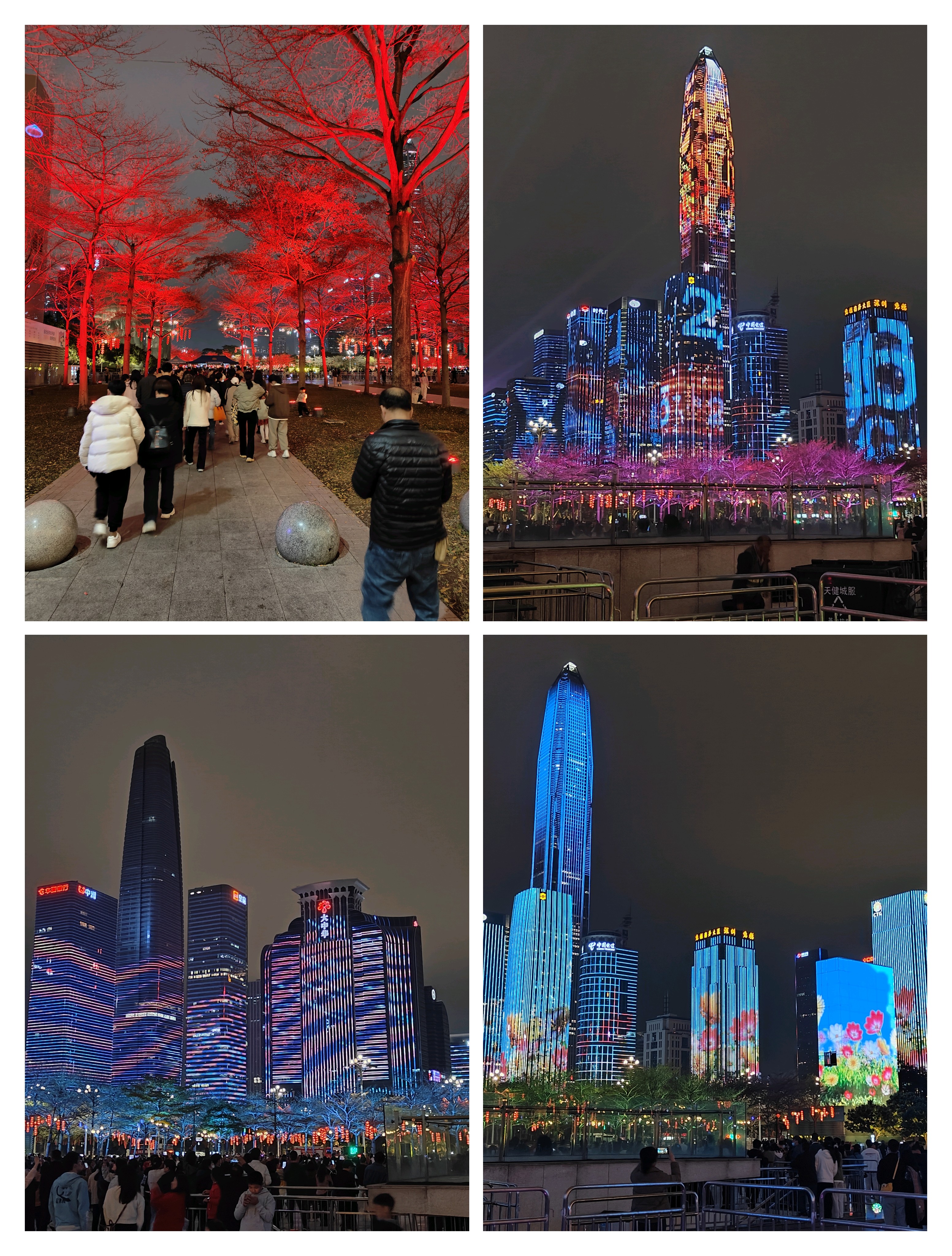 Featured image of post 2024年度总结