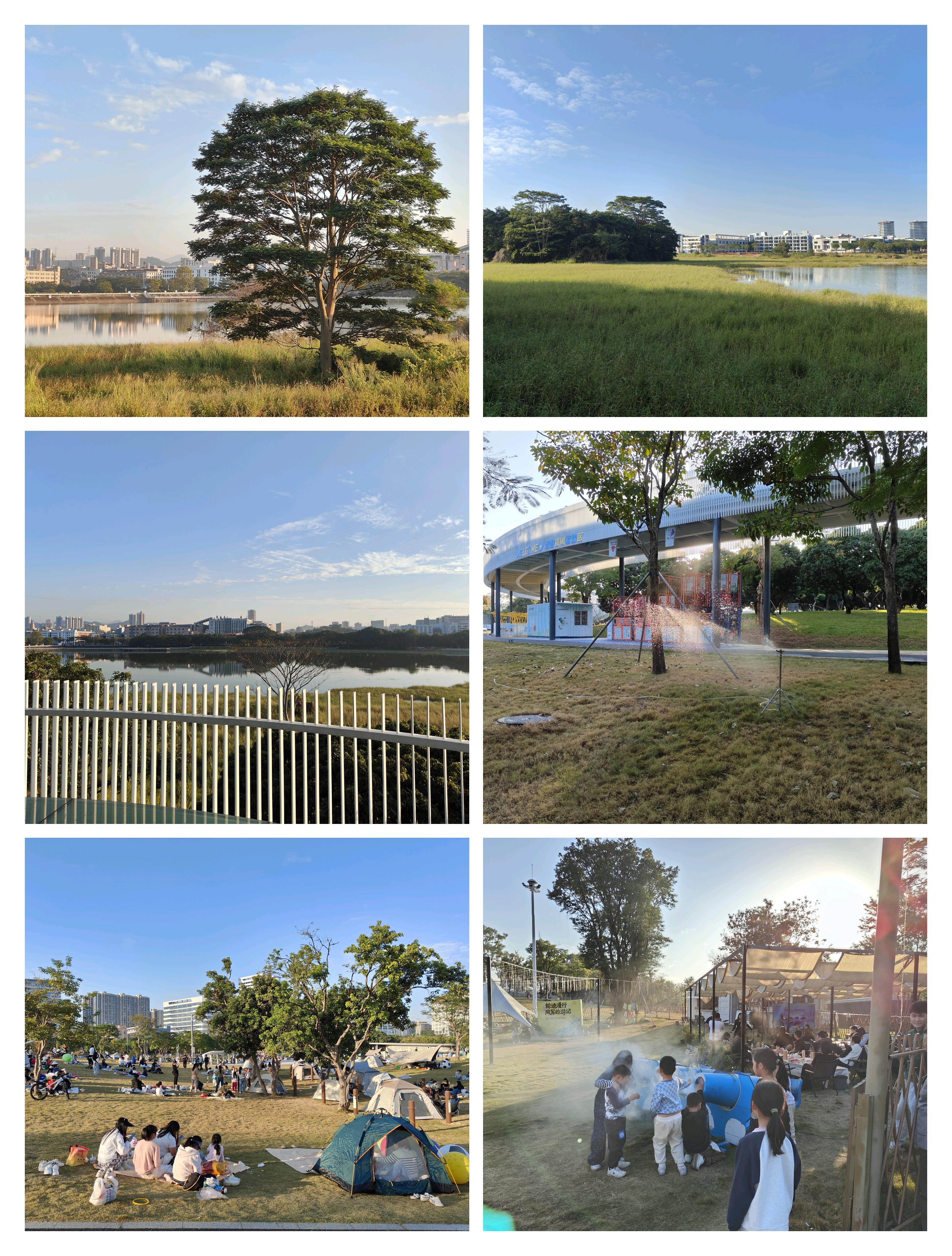 Featured image of post 神仙鱼，或关于羊的独白