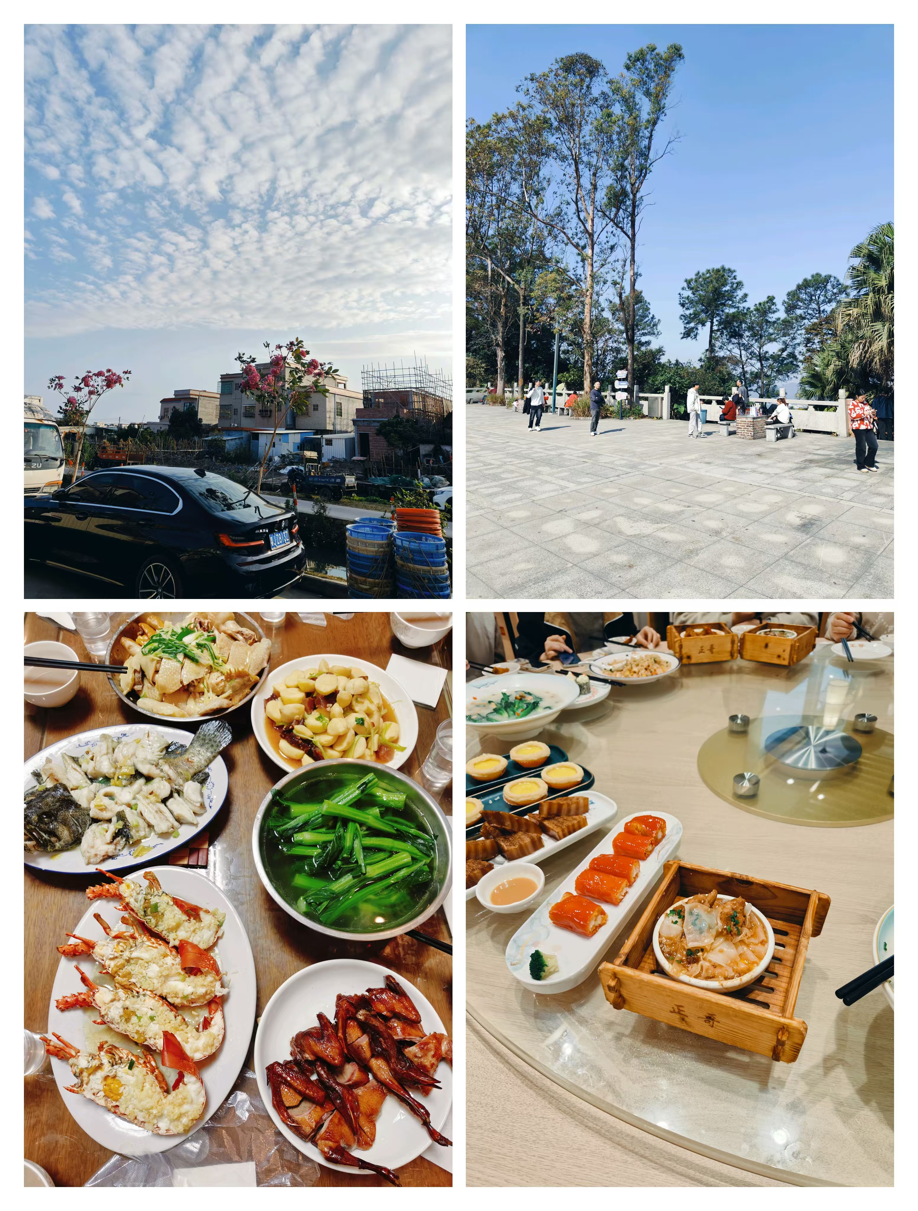 Featured image of post 202501-202502月度总结