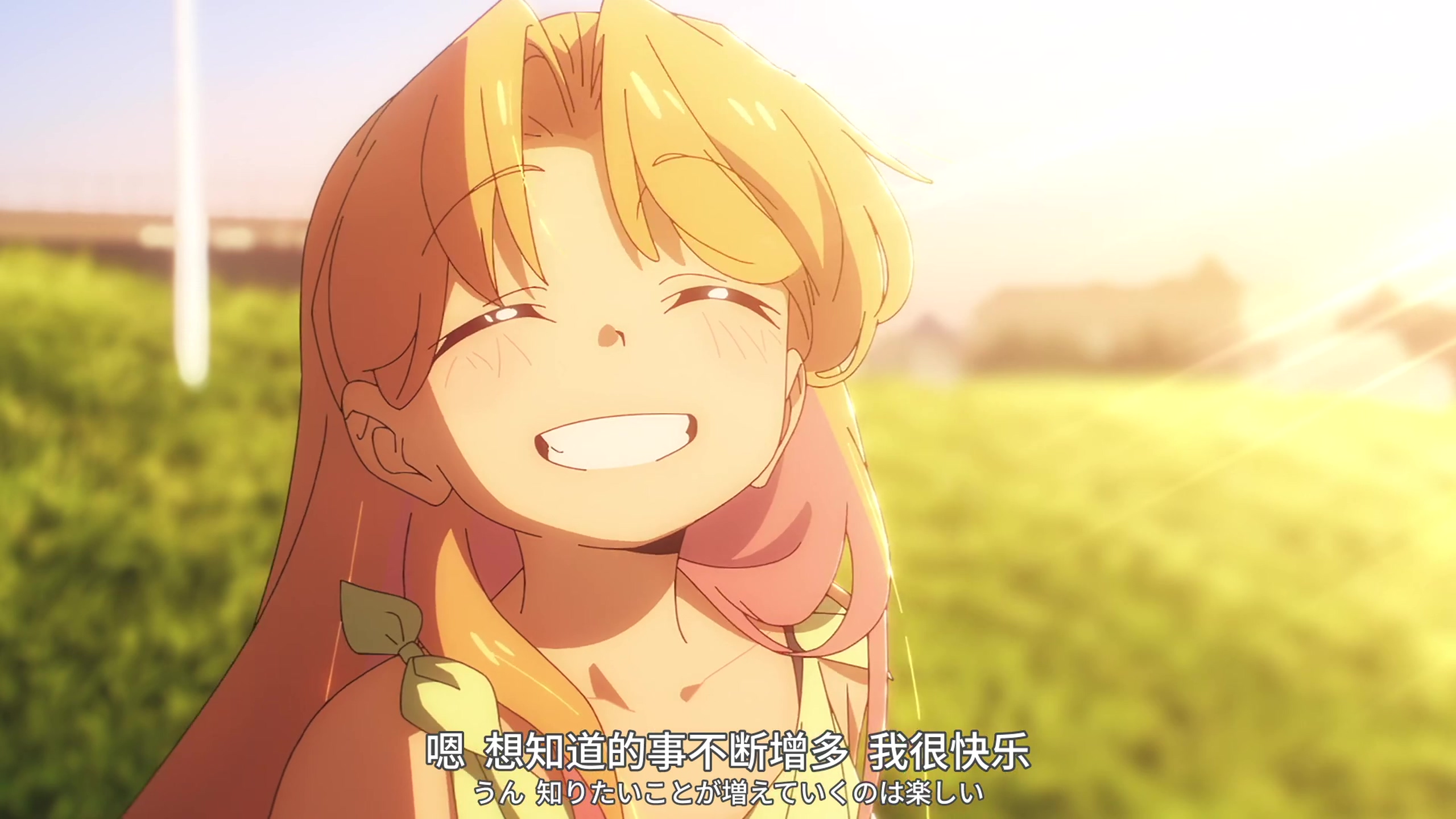 Featured image of post 202511-202601季度总结